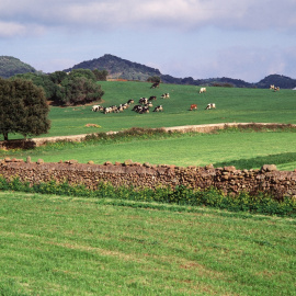  Campo de Menorca - Fuente: AETIB - Govern de les Illes Balears / Autora: Manuela Muñoz
