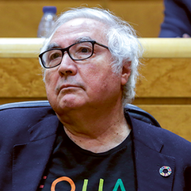 Manuel Castells en el Senado.- EUROPA PRESS