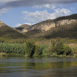 Ribera del río Ebro.- MANUEL COHEN/AFP
