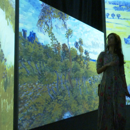Valencia acoge la exposición 'Van Gogh Alive'