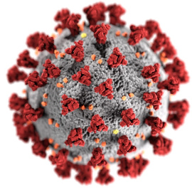 26/01/2022 coronavirus