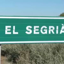 Las claves del brote del Segrià
