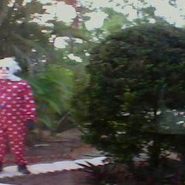 Wrinkles the Clown, el documental del payaso que asusta a niños desobedientes