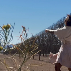 Bon Iver actuará en Barcelona y Madrid en abril