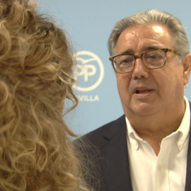 Juan Ignacio Zoido, europarlamentario del PP