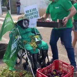 Agricultores se concentran en Mérida por los bajos precios y la "mala situación"