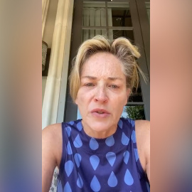 "No votéis a un asesino", el mensaje de Sharon Stone contra Trump
