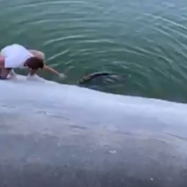 Rescatan a un zorro a punto de perecer ahogado