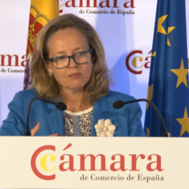 Calviño destaca que es momento de "arrimar el hombro"