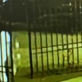 Hallado en buen estado el bebé secuestrado esta mañana en un hospital de Bilbao