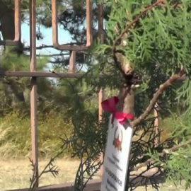 Familiares de los soldados rusos fallecidos plantan árboles en su memoria