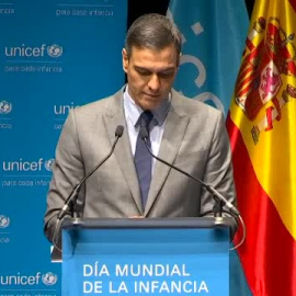 Sánchez: "Debemos fortalecer la Sanidad Pública como una de las joyas del Estado de Bienestar"
