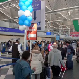 'Chocolate' y 'Chip' son los dos pavos indultados por Biden para Acción de Gracias este año