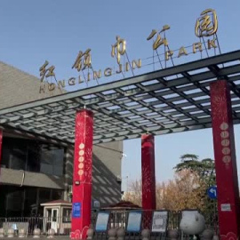 China alcanza un récord diario de casos de COVID