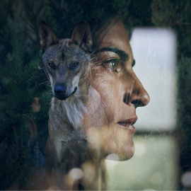 Tráiler oficial de Sharing The Land