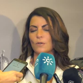 Olona presentará su nuevo proyecto en Madrid y dice que causará "inquietud" en algunos