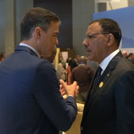 Sánchez asiste a la Cumbre del Clima que arranca en Egipto