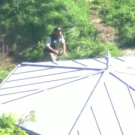 Se escapan 5 leones de un zoo de Sidney