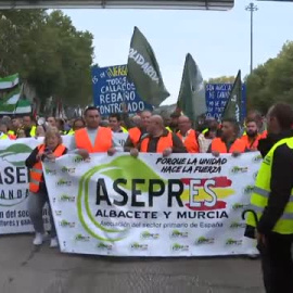 Los transportistas inician en el centro de Madrid su paro indefinido con una multitudinaria manifestación