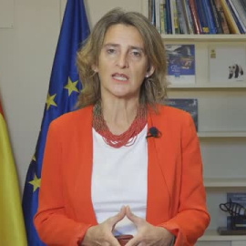 Discrepancias entre el PSOE y Unidas Podemos por la llamada Ley Trans