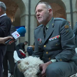 Perros policía se jubilan en la gala de Héroes de Cuatro Patas 