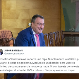 'Collage' con una imagen de Aitor Esteban de Europa Press y una captura de su tuit