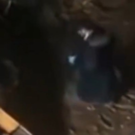 Instante en el que Rubén Gisbert se mancha de barro a propósito.