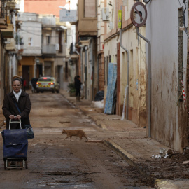 Una mujer con su carro de la compra atraviesa una de las calles afectadas por la dana en Paiporta, este lunes