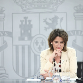 La vicepresidenta para la Transición Ecológica y el Reto Demográfico, Teresa Ribera, durante una  rueda de prensa posterior al primer Consejo de Ministros.