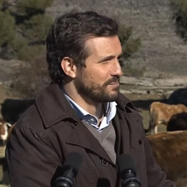 Las respuestas incómodas de Casado cuando le preguntan por la prohibición de algunos ayuntamientos del PP de las macrogranjas