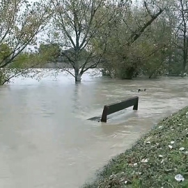 Crecida del Ebro en Zaragoza