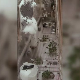 Llegan a la Tierra las primeras plantas de arroz y berro cultivadas en el espacio