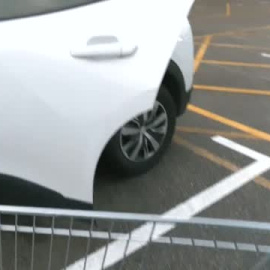 Se encuentra una cartera con más de 1500 euros y se la devuelve a su dueña