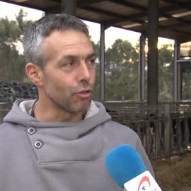 Una vaca cántabra la mejor en el Campeonato de Europa de Cremona