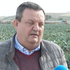 Los agricultores celebran la lluvia como maná para sus cosechas