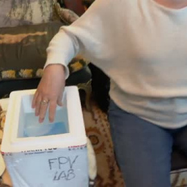 Sin investigación tampoco hay futuro para tratar la obesidad