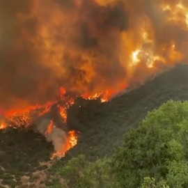 La ola de calor en Chile ya ha quemado más de 7000 hectáreas