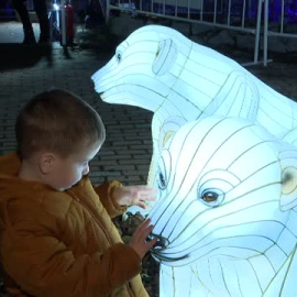  Visita un pedazo de Ártico en Madrid 