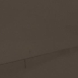 Búfalo amanece sepultada bajo la nieve tras el paso de una fortísima ventisca