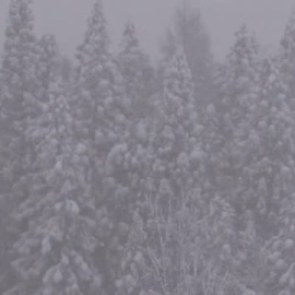 El frío extremo deja al menos 17 muertos en Japón