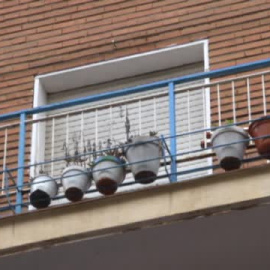 Diciembre negro: ocho mujeres asesinadas por violencia de género