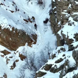 Rescatan a Nala, una perra perdida en un espectacular paraje en las montañas de Utah