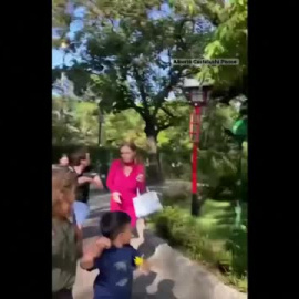 Un árbol se desploma sobre los visitantes de un jardín japonés en Buenos Aires