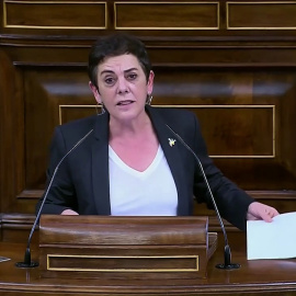 EH Bildu rechaza el envío de armas a Ucrania