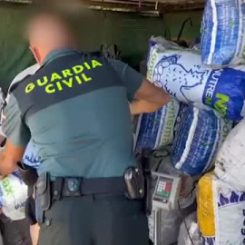 Se esclarece el robo de más de 100 toneladas de algarrobas