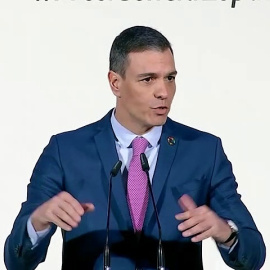 Sánchez alerta de que la mayor amenaza para la democracia es "el resurgir de movimientos ultras"