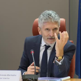 Marlaska anuncia nuevas medidas de control sobre los hombres denunciados por violencia de género