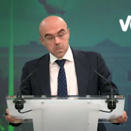 Vox condena "toda la violencia" pero defiende a Bolsonaro ante el asalto en Brasil