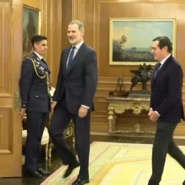 El Rey recibe al presidente de la CEOE
