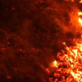 Los incendios en Chile afectan ya a 250.000 hectáreas y dejan a más de 1.100 personas sin sus casas